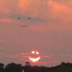 Meet your Posher, Geraldy